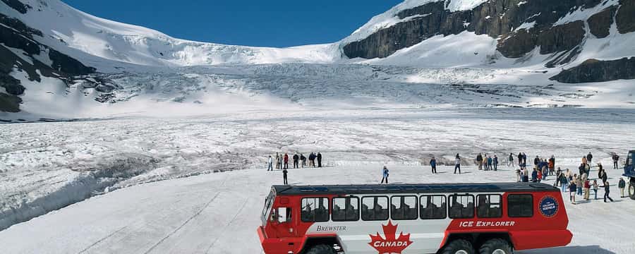 Columbia icefield, Skywalk, Waterfowl, Bow & Peyto Lake Tour - The practical shape of a 12-hour outing