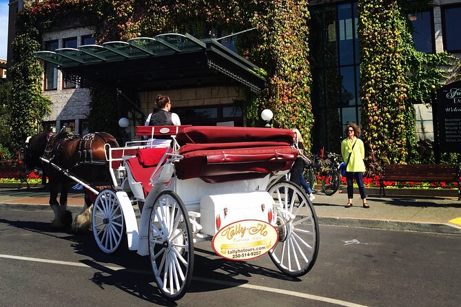 COMBO Victoria City Tour & Butchart Gardens & Entry Tix - The drive to Butchart Gardens