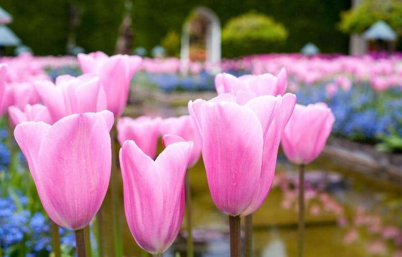 Day Trip from Vancouver to Victoria and Butchart Gardens - Key points at a glance