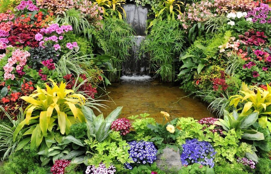 Day Trip from Vancouver to Victoria and Butchart Gardens - The long return to Vancouver
