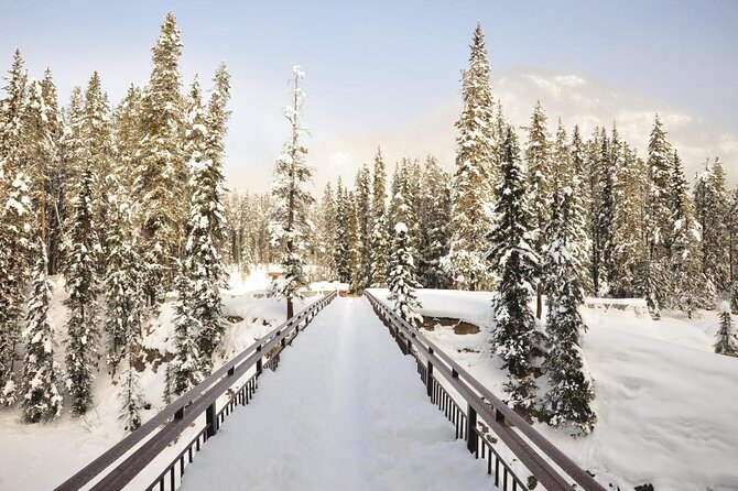 Day Trip: Lake Louise, Moraine Lake, Emerald Lake, Banff - Yoho National Park adds a different side of the Rockies