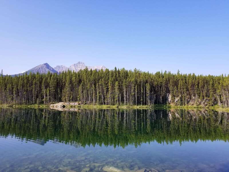 Deep Day Tour to Peyto, Moraine, Louise Lakes, J. Canyon... - Lake Louise combines color, history, and a short break