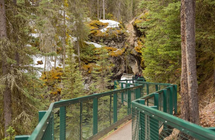 Deep Day Tour to Peyto, Moraine, Louise Lakes, J. Canyon... - Vermilion Lakes closes the loop near Banff