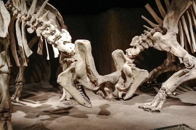 Dinosaurs, Canyons & Ghost Towns: Ultimate Drumheller Day Tour - Three hours inside the Royal Tyrrell Museum