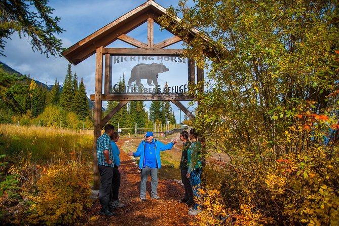 Discover Grizzly Bears from Banff - The morning pickup from Banff