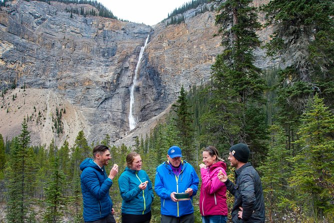 Discover Grizzly Bears from Banff - Meeting Boo inside the 20-acre refuge