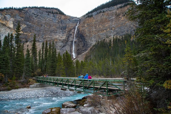 Discover Grizzly Bears from Banff - How good is the value?