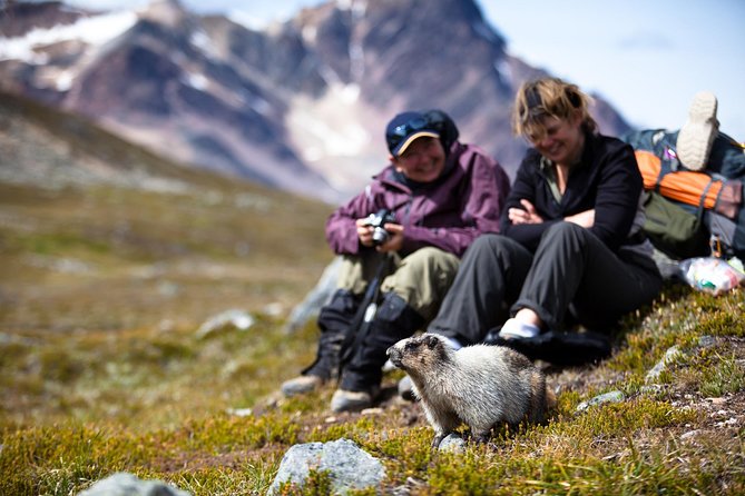 Discover Jasper and its Wildlife - Who should book this wildlife tour?