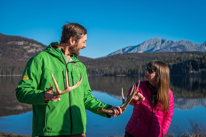 Discover Jasper and its Wildlife - Why the guide matters more than the vehicle