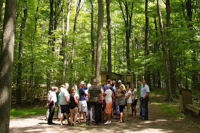 Discover Maple Sugar Bush Tour - Key points before you book