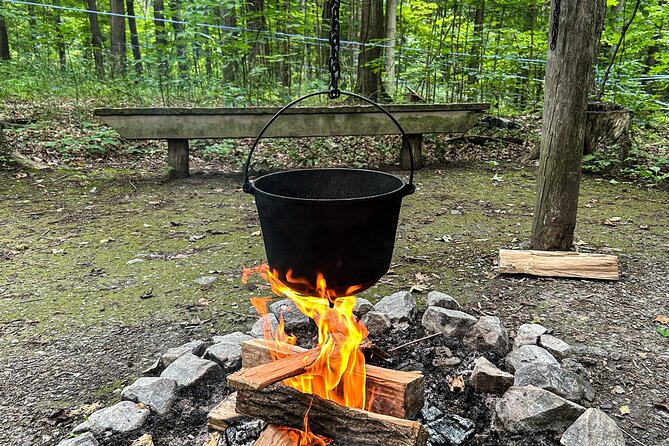 Discover Maple Sugar Bush Tour - Understanding light, dark, and stronger syrup