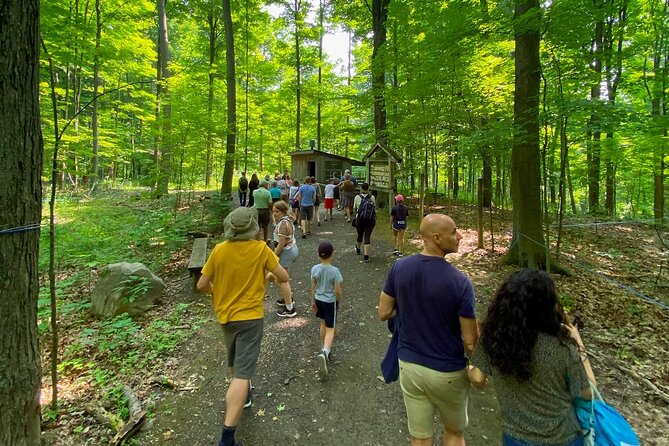 Discover Maple Sugar Bush Tour - Who will enjoy this farm visit most