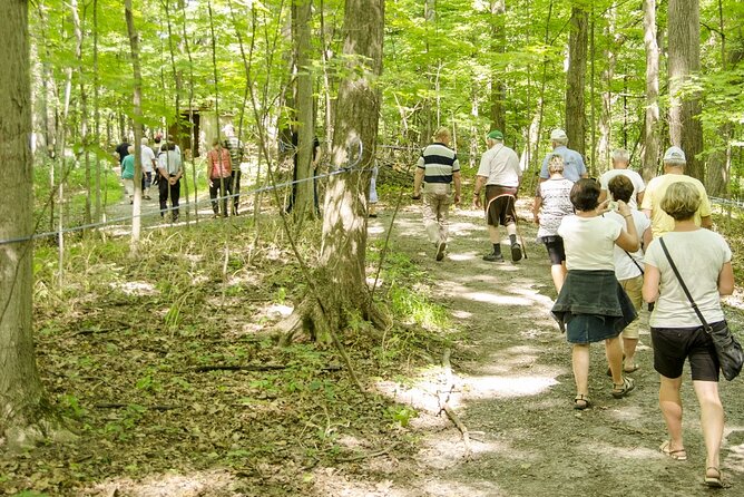 Discover Maple Sugar Bush Tour - A few practical limits to keep in mind