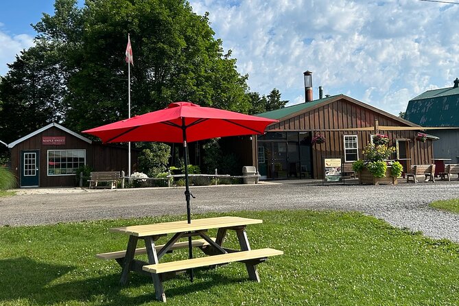 Discover Maple Sugar Bush Tour - The wagon ride into the maple forest