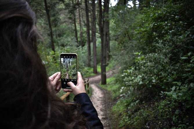Discover the Lake Agnes Tea House Trail with an Audio Nature Tour - The final climb to Lake Agnes Tea House