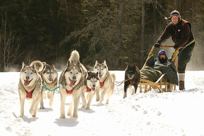 Dogsled Diable Adventure in Mont-Tremblant - The ride begins with a hands-on lesson