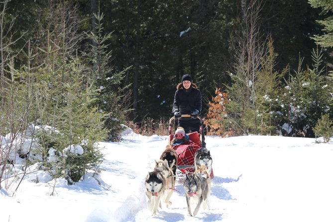 Dogsled Diable Adventure in Mont-Tremblant - Hot chocolate makes a sensible finale