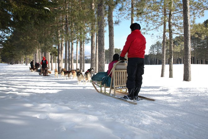 Dogsled Diable Adventure in Mont-Tremblant - Is $233.91 a fair price?