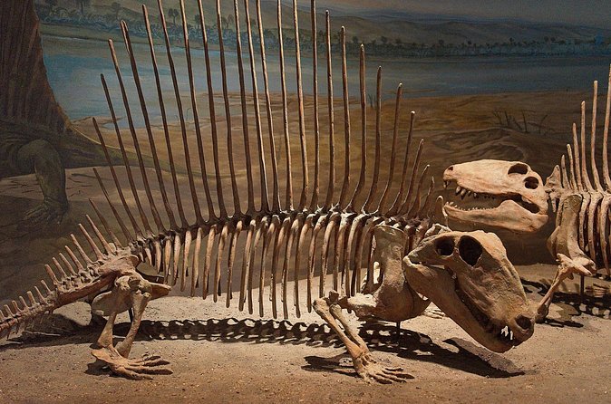 Drumheller and Badlands Full-Day Tour with a Small Group - East Coulee School Museum is your lunch break