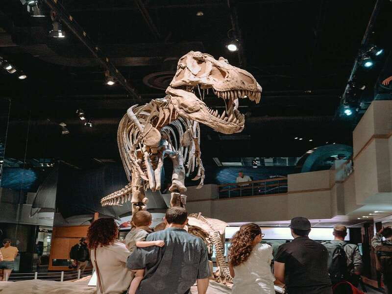 Drumheller: Bad Land & Dinosaur Museum Tour from Calgary - Walking among the hoodoos
