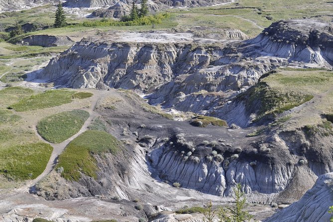 Drumheller Dinosaur Valley & Horseshoe Canyon Adventure Day Tour - Why Drumheller makes a strong day trip from Calgary