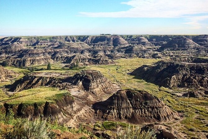 Drumheller Dinosaur Valley & Horseshoe Canyon Adventure Day Tour - Lunch, water, and the small practical details