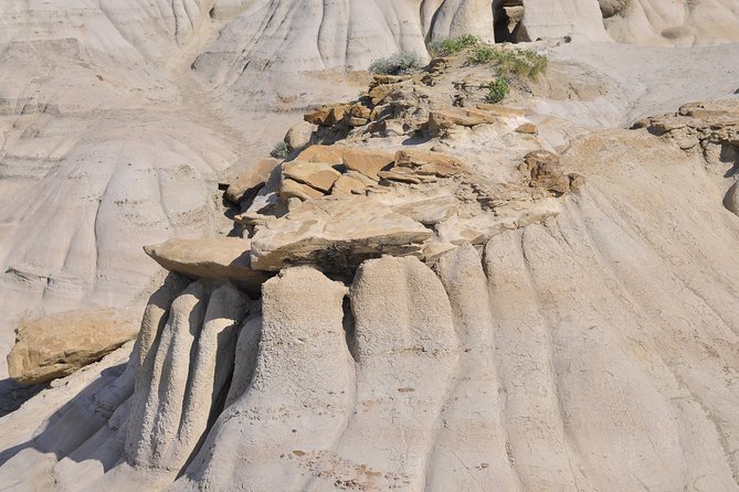 Drumheller Dinosaur Valley & Horseshoe Canyon Adventure Day Tour - Horseshoe Canyon starts the day with a wide-open view