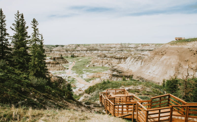 Drumheller: Dinosaurs, Canyons, & Hoodoos Day Tour - Lunch is simple and separate