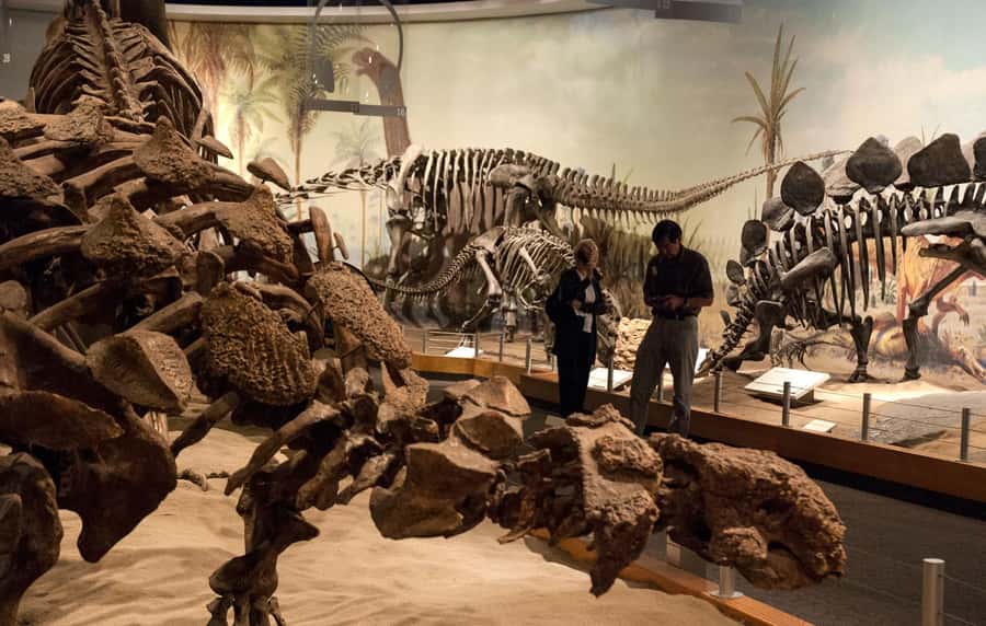 Drumheller: Dinosaurs, Canyons, & Hoodoos Day Tour - CrossIron Mills adds a very different final stop