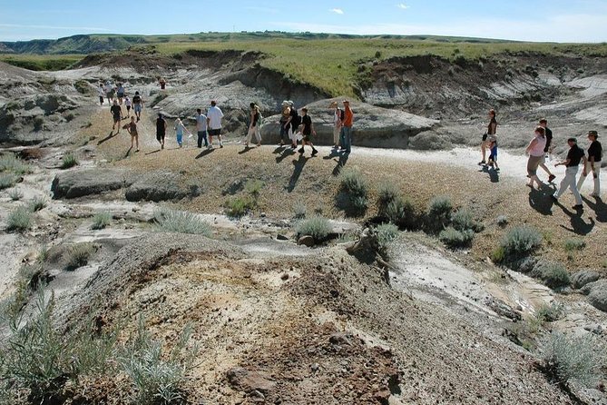 Drumheller: Royal Tyrrell Museum, Hoodoos and Horseshoe Canyon - The Royal Tyrrell Museum is the day’s main attraction