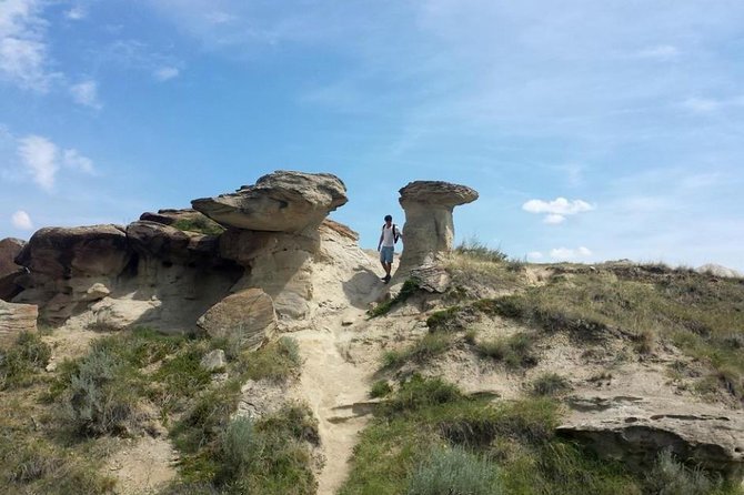 Drumheller: Royal Tyrrell Museum, Hoodoos and Horseshoe Canyon - Tyra makes a quick, memorable roadside stop