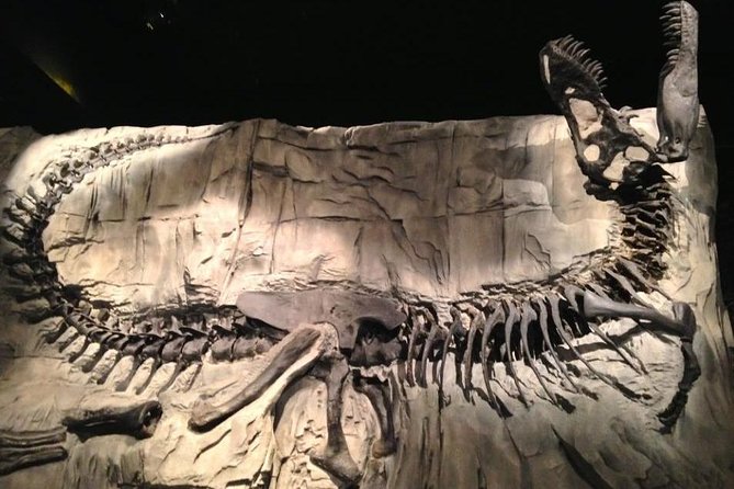 Drumheller: Royal Tyrrell Museum, Hoodoos and Horseshoe Canyon - CrossIron Mills changes the mood of the day