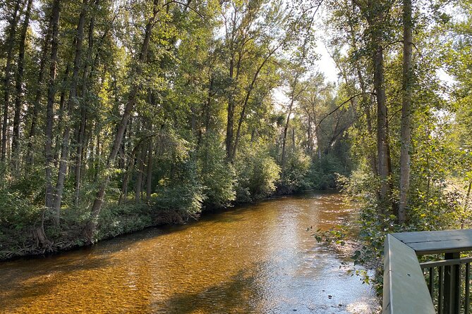 E-Bike Salmon Adventure - Mission Creek Greenway and the salmon run