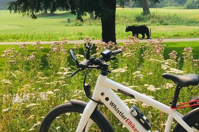eBike Adventure in Whistler - Key things to know before you ride
