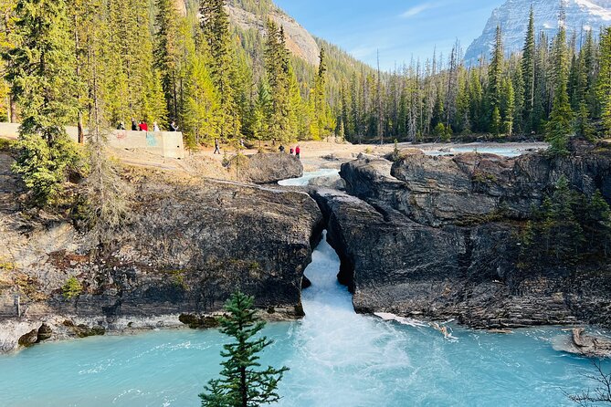 Emerald Lake,Natural Bridge, Wapta Falls & Takakkaw Falls in Yoho - The day in six useful points