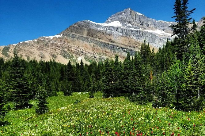 Exclusive Skoki Backcountry Guided Hiking in Lake Louise with Van Shuttle - Lakes, passes, and the value of a slower pace