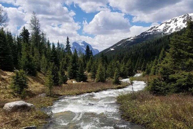Exclusive Skoki Backcountry Guided Hiking in Lake Louise with Van Shuttle - What your guide adds to the experience