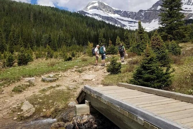 Exclusive Skoki Backcountry Guided Hiking in Lake Louise with Van Shuttle - Lunch, drinks, and what to bring