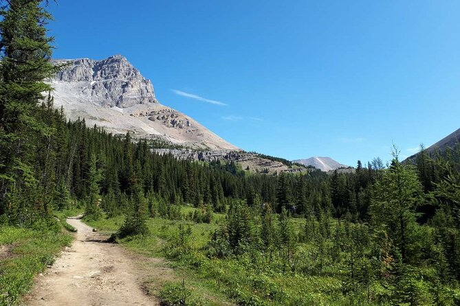 Exclusive Skoki Backcountry Guided Hiking in Lake Louise with Van Shuttle - Hiking through forests, meadows, and mountain country