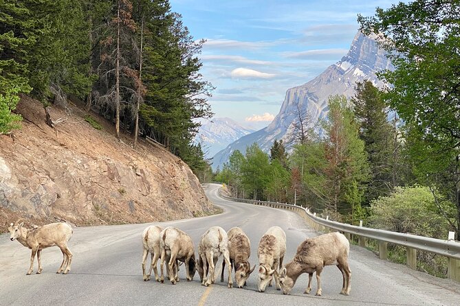 Explore 3 National Parks - Exclusive Small Group Tour - Lake Louise: the day’s headline stop
