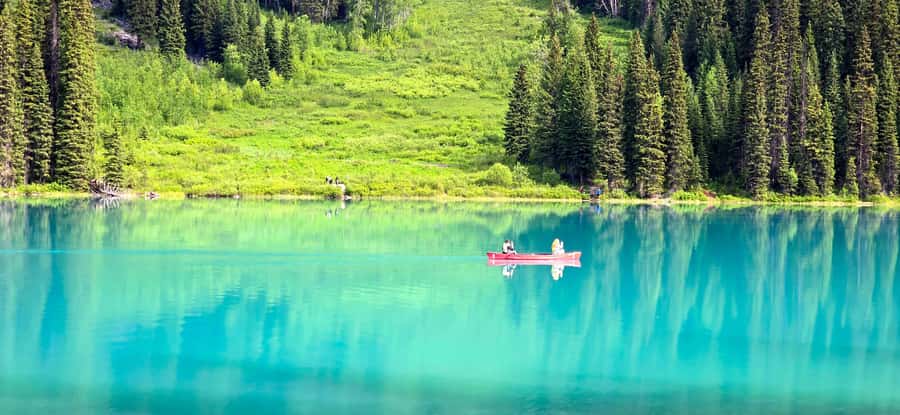 Explore 9 Iconic Banff Spots in 1 Epic Day!(Pax 12/Group) - Icefields Parkway stops: glaciers, blue water, and quick walks