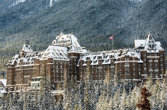Explore Banff + Wildlife - Wildlife watching without false promises