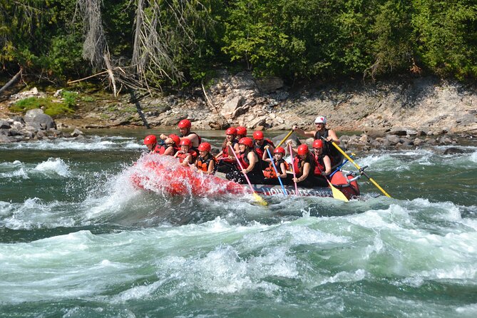 Family Friendly Whitewater Rafting - The guide can shape the whole outing
