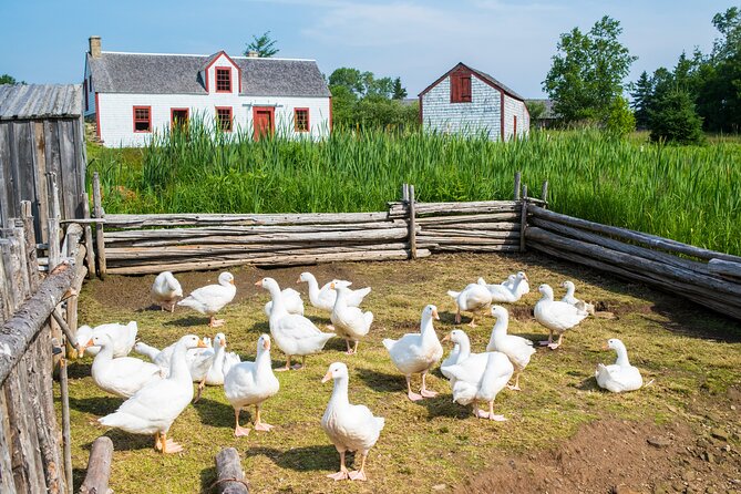 Family visit to the Acadian Historic Village - Should you book the Village Historique Acadien?