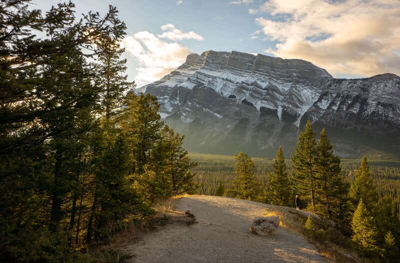 From Banff: Banff Wildlife & Scenic Highlights Premium Tour - Why this three-hour Banff tour works