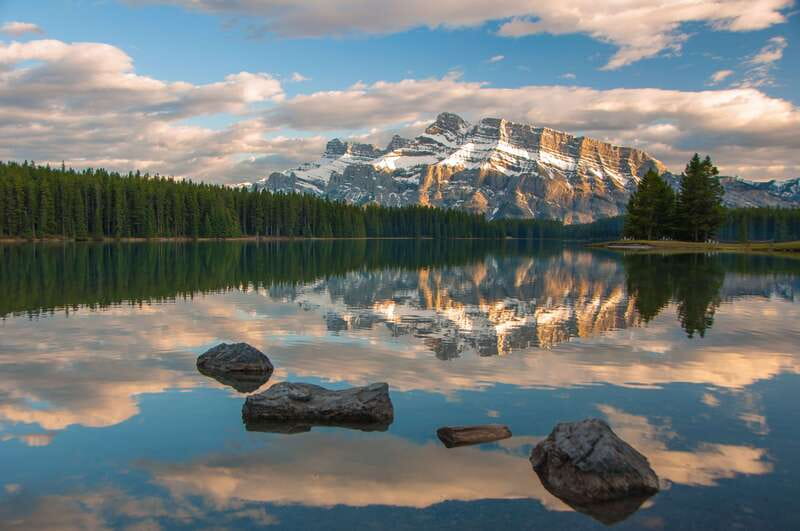 From Banff: Banff Wildlife & Scenic Highlights Premium Tour - Is $91 a fair price?