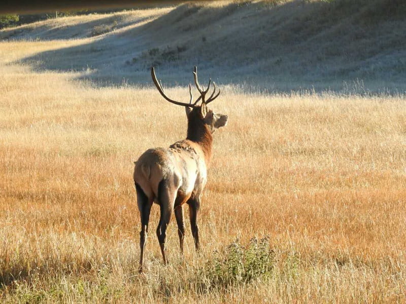 From Banff/Canmore: Deep 1 Day Tour in Banff National Park - Key points at a glance
