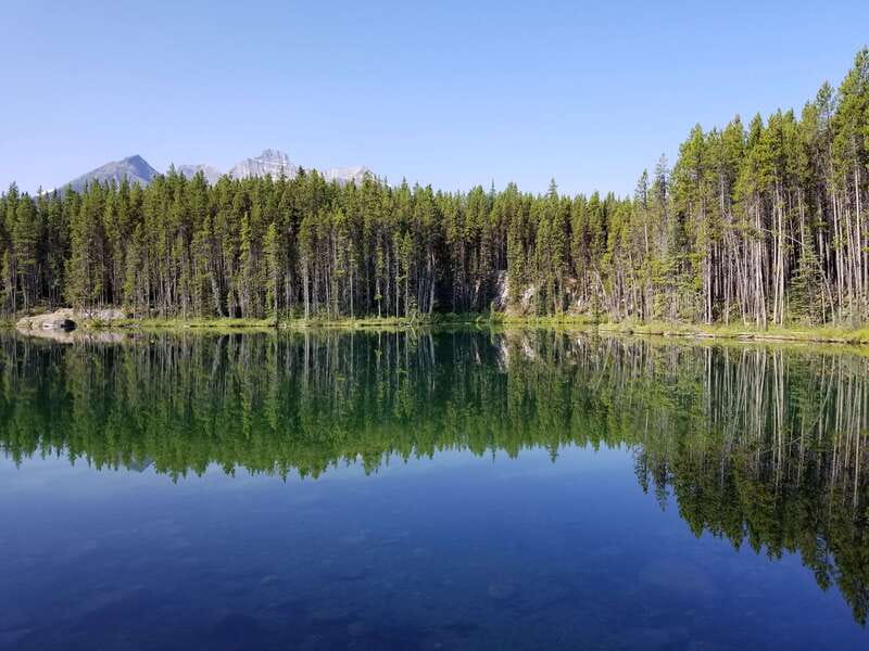 From Calgary/Banff: Columbia Icefield Glacier Full-Day Trip - Bow Lake offers a calmer pause