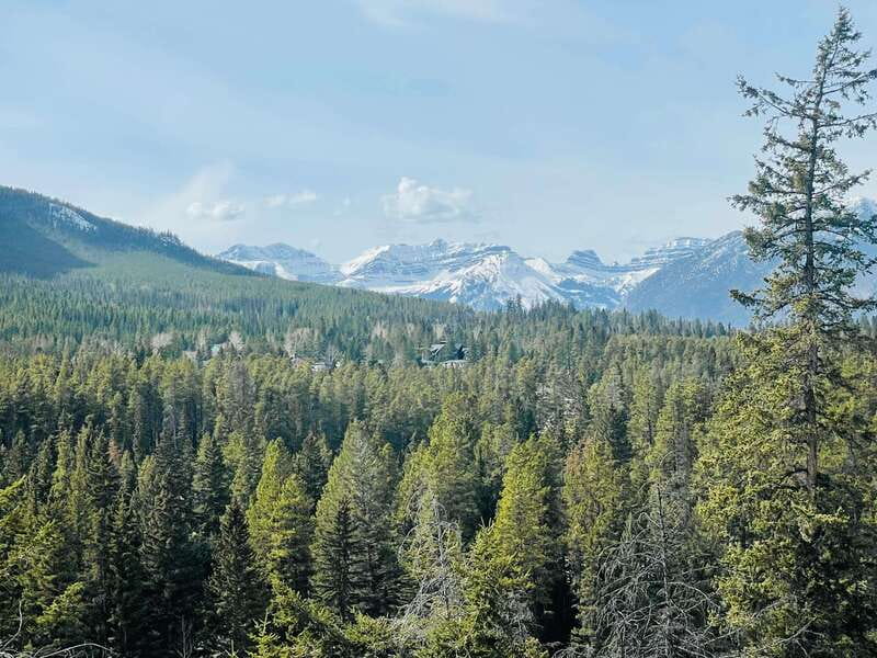 From Calgary: Banff, Moraine Lake and Lake Louise Tour - Moraine Lake is the summer prize