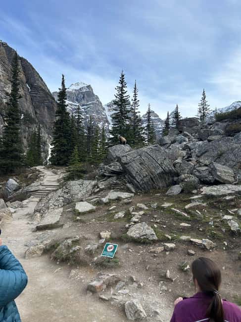 From Calgary/Banff: Moraine Lake & Lake Louise Half-Day Tour - Lake Louise, the chateau, and the forested shore